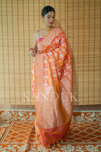 Noor (Saree)