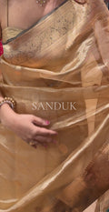 Tissue Chand Tara (Saree)
